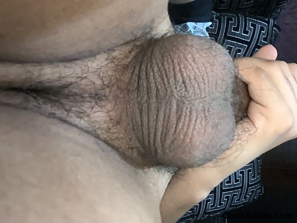  - Cock Selfie