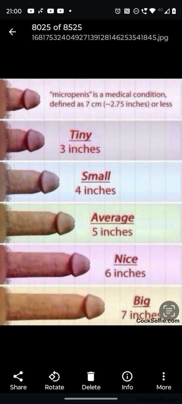 Cock size chart - Cock Selfie