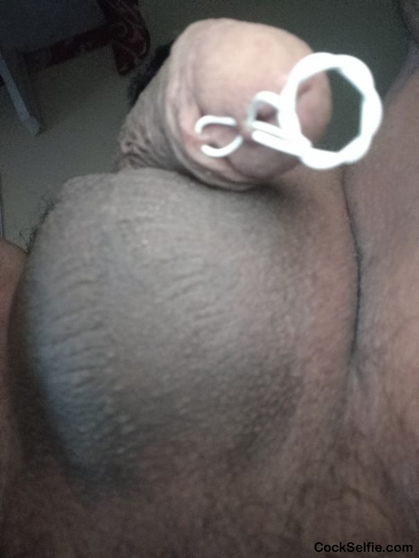  - Cock Selfie