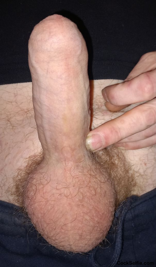  - Cock Selfie