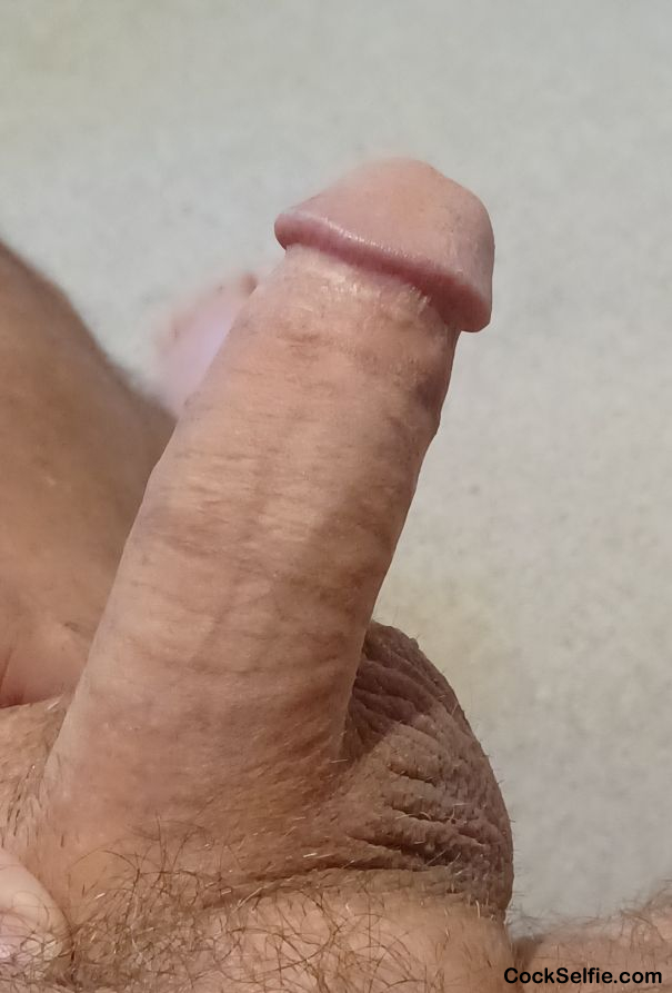 My pretty dick... I want to suck you... - Cock Selfie