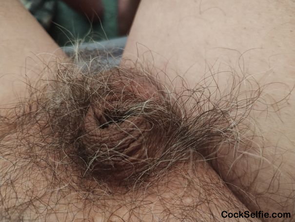 There should be a cock here somewhere - Cock Selfie