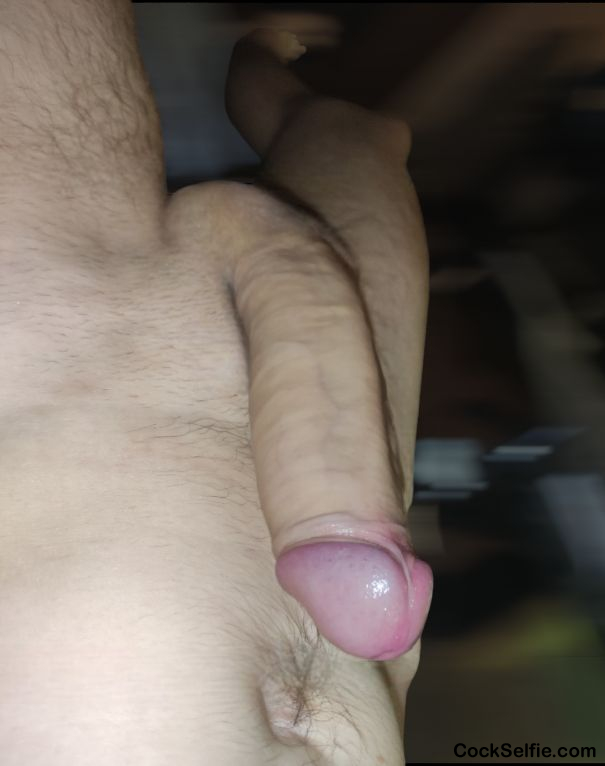 My Cock - Cock Selfie