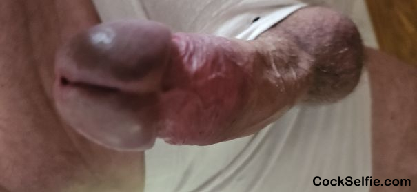 Mein harter Penis - Cock Selfie