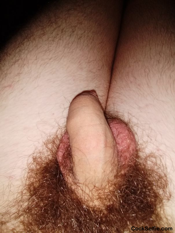 Need someone to make this soft cock hard - Cock Selfie