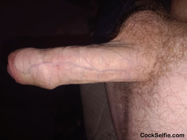 me now - Cock Selfie