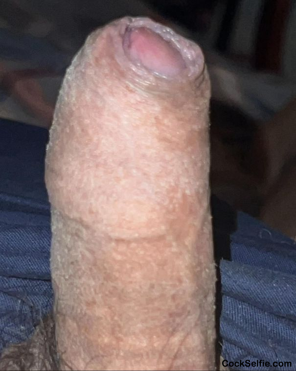 Exposed SPH - Cock Selfie