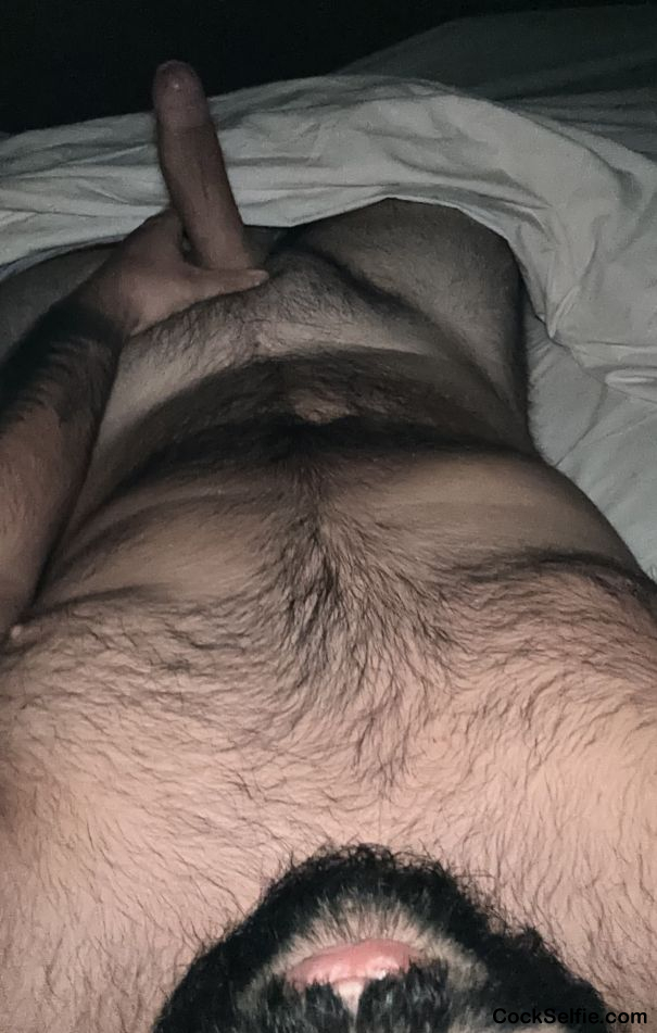 You like bear cock? - Cock Selfie