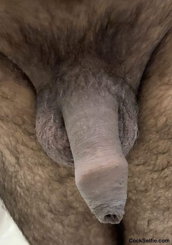 Brown cock - Cock Selfie