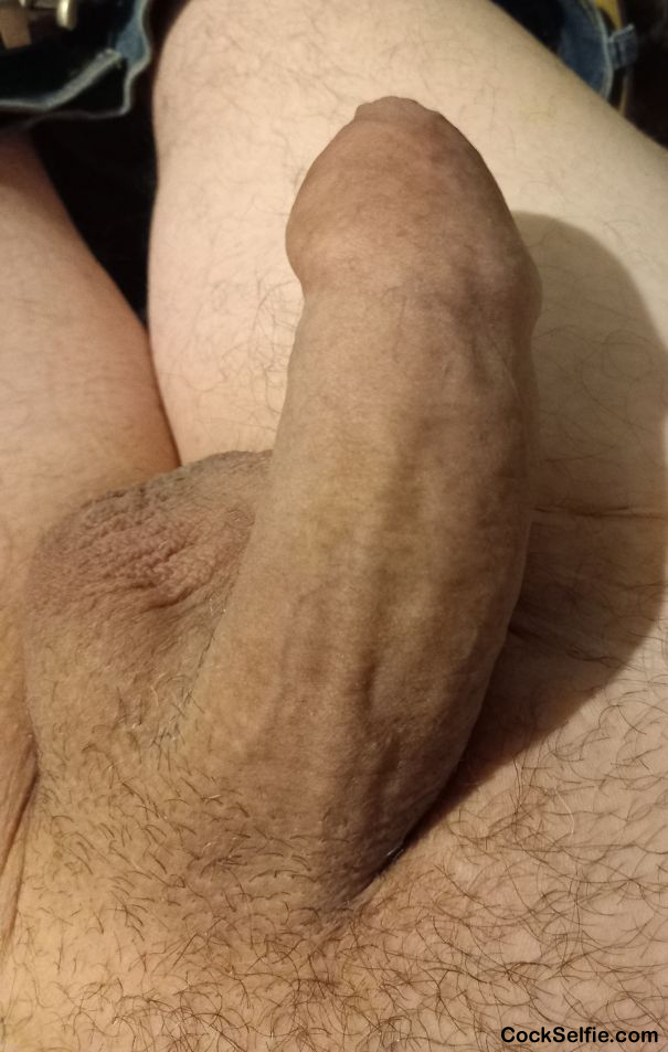  - Cock Selfie