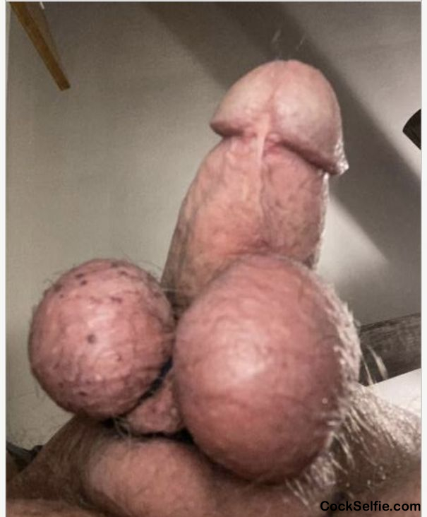 My old balls - Cock Selfie