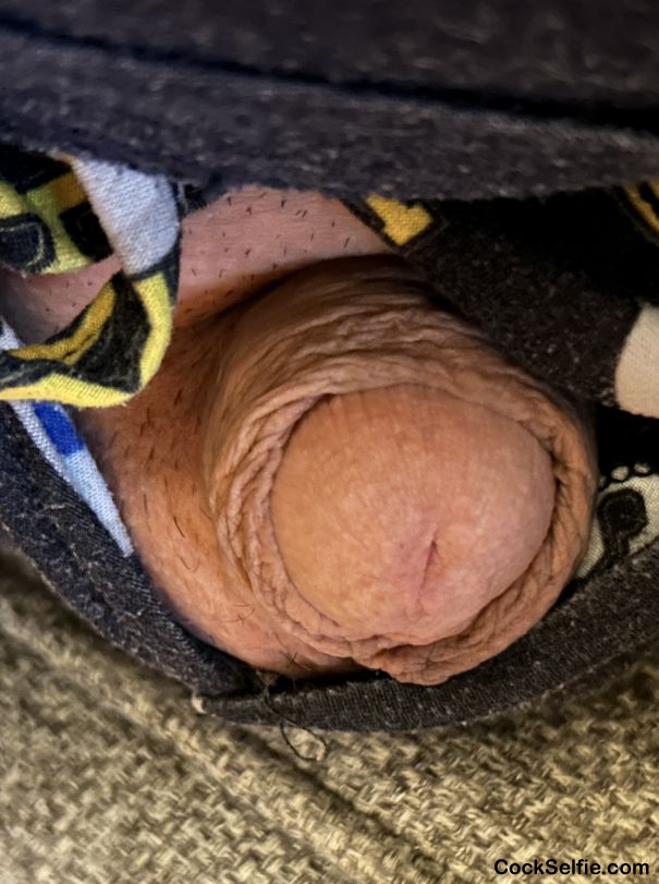 He wants to cum out of his shell - Cock Selfie