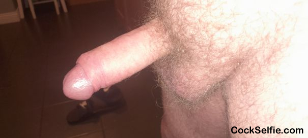  - Cock Selfie