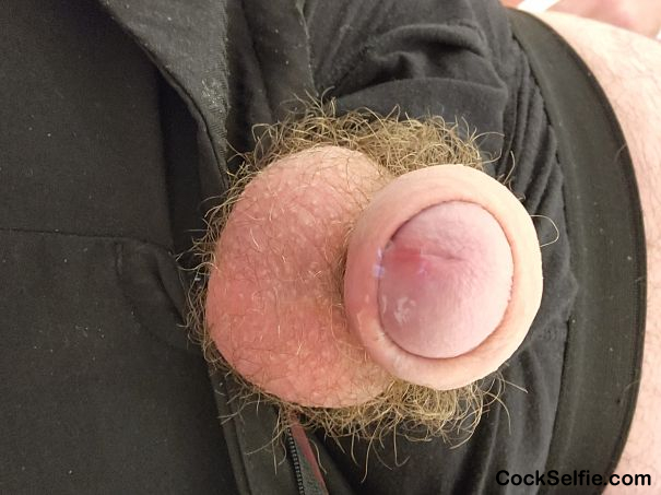  - Cock Selfie