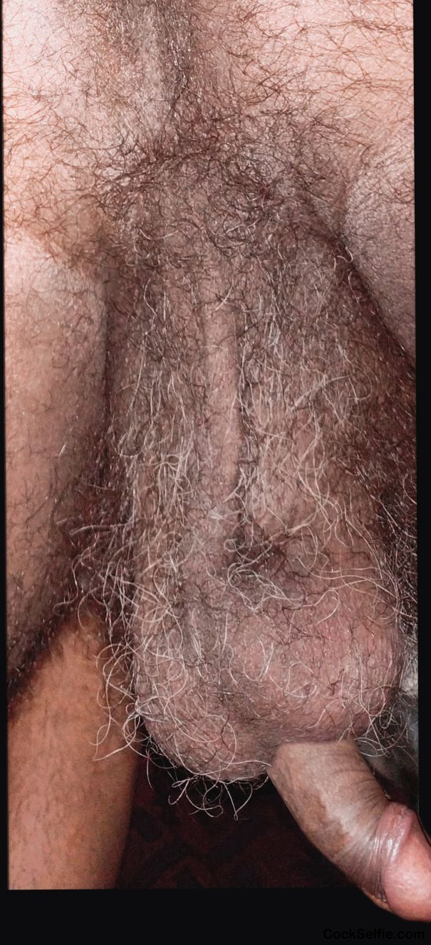 My hairy butter ball - Cock Selfie