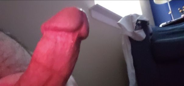  - Cock Selfie