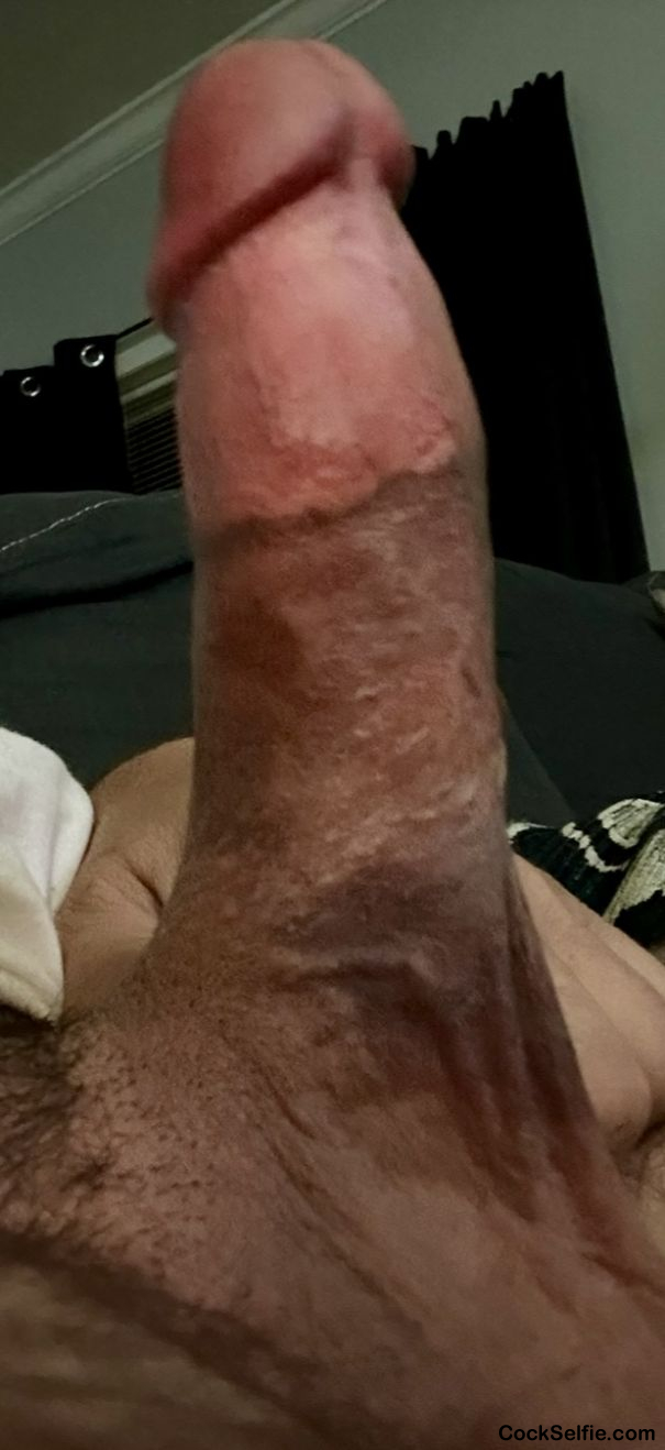  - Cock Selfie