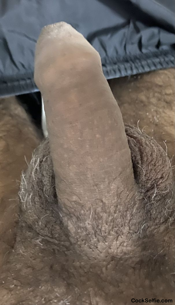 Grey pubes - Cock Selfie