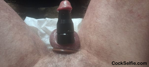  - Cock Selfie