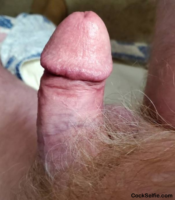 Getting hard and fat - Cock Selfie