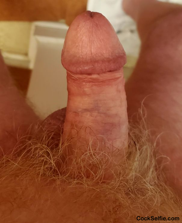 My Fat erection ready to deliver thick sperm to you - Cock Selfie