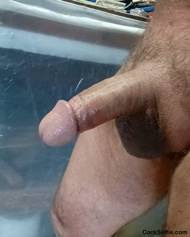 My cock.. - Cock Selfie