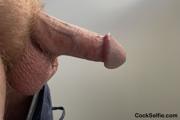  - Cock Selfie