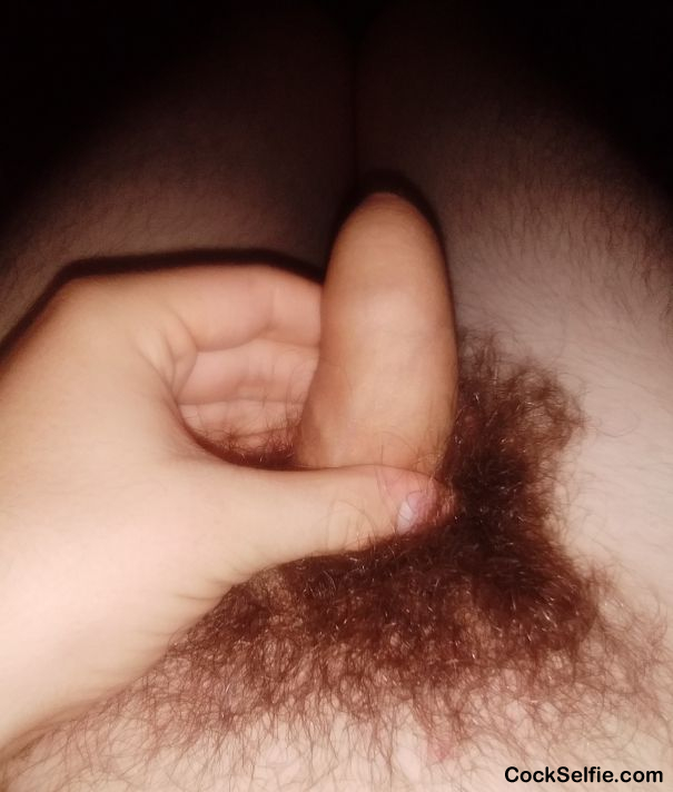 Will someone please help my soft cock? - Cock Selfie