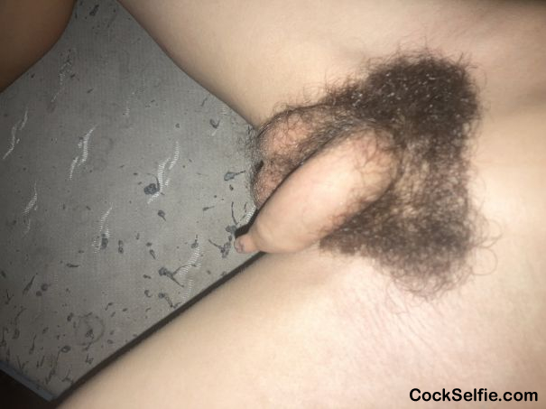 Small cock - Cock Selfie