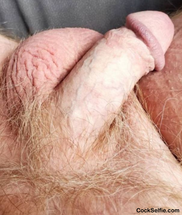 Ginger cock and FULL balls - Cock Selfie