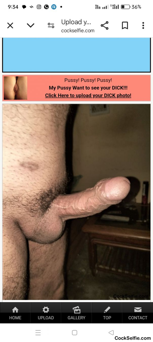  - Cock Selfie