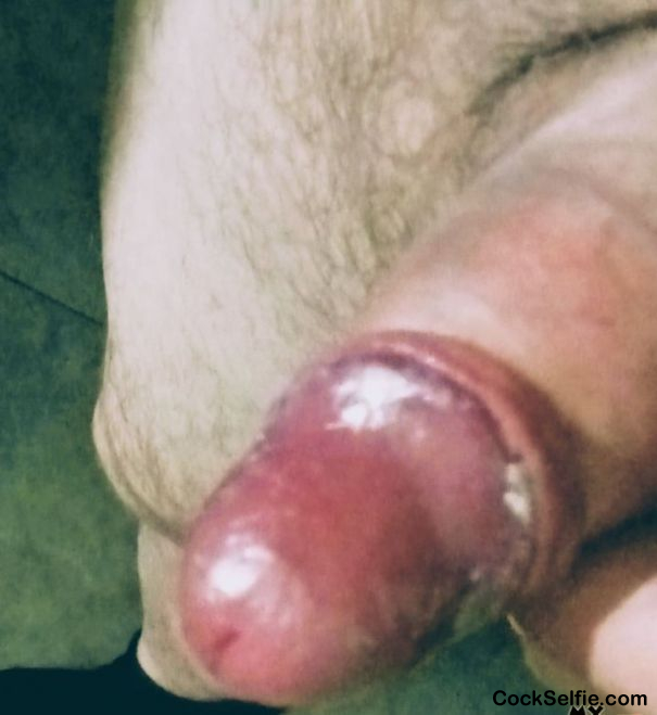  - Cock Selfie