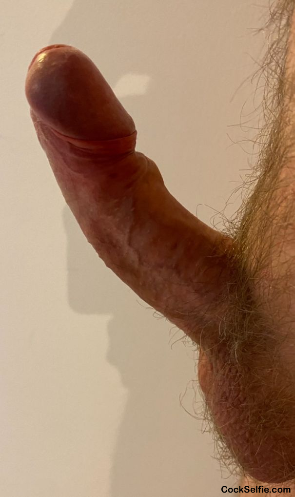 Hard - Cock Selfie