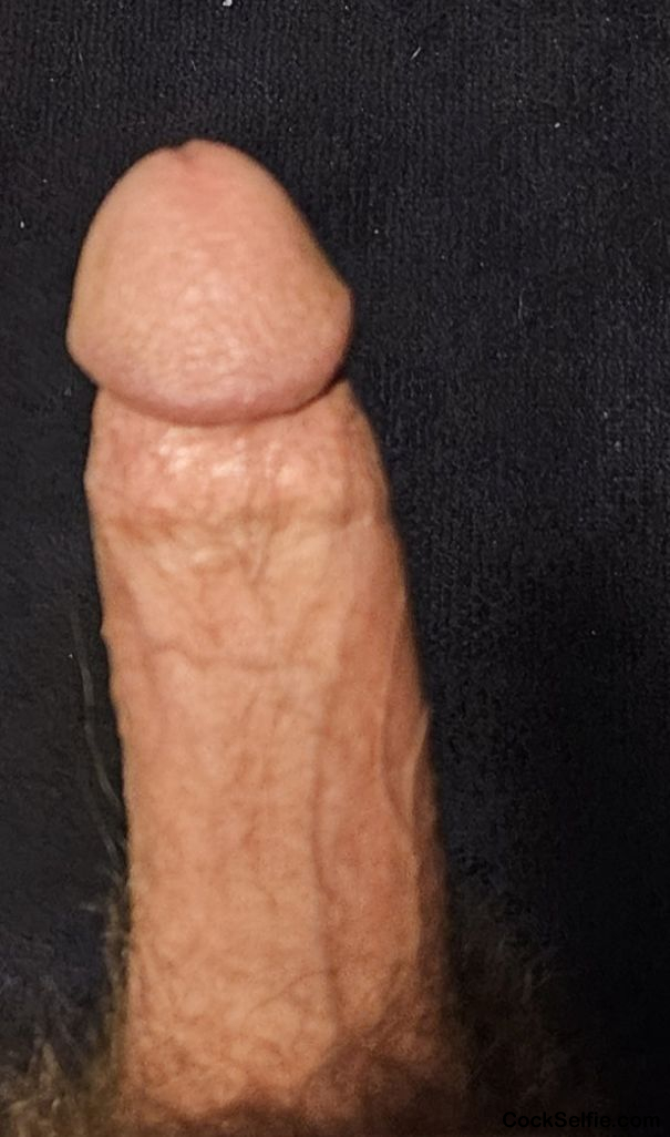 Stiff! - Cock Selfie