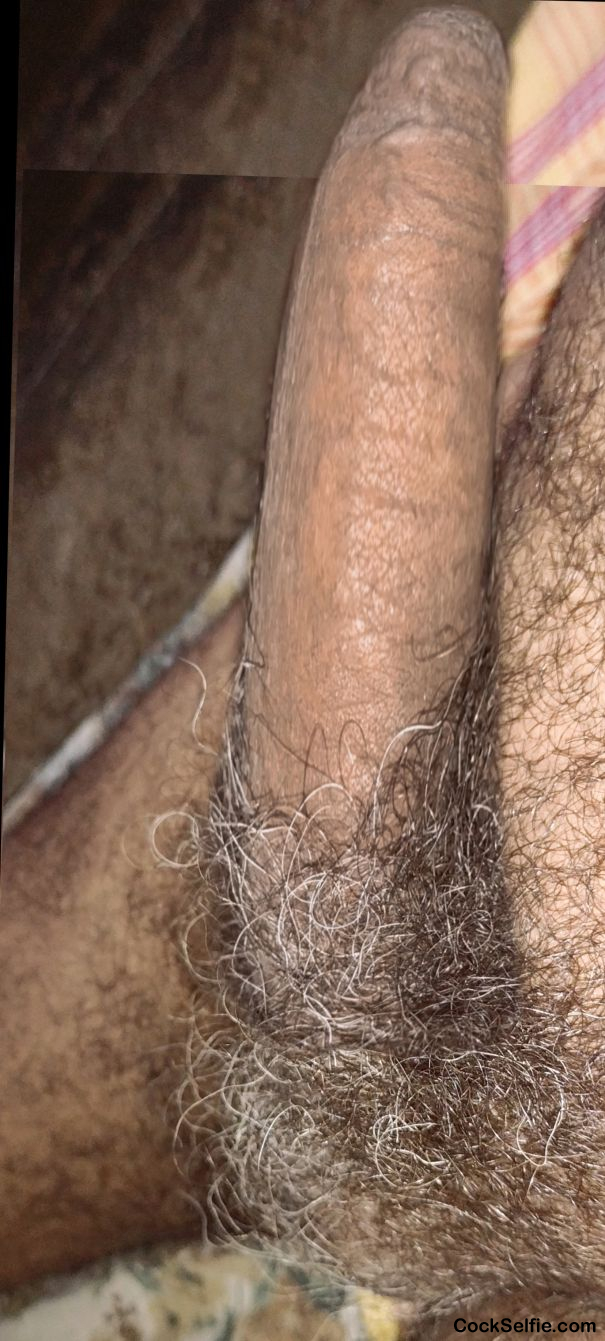 Who's lucky users this my hairy dick comment me.. - Cock Selfie