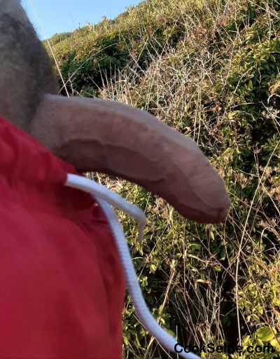  - Cock Selfie