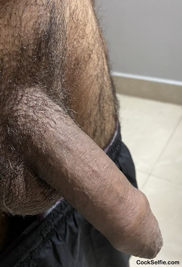 Brown cock - Cock Selfie