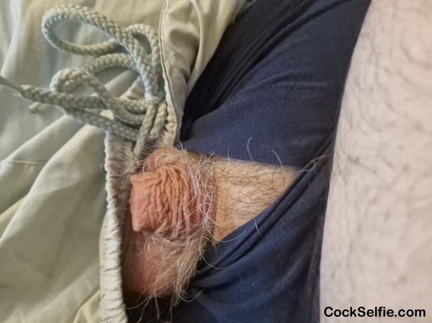 My soft hairy cock - Cock Selfie