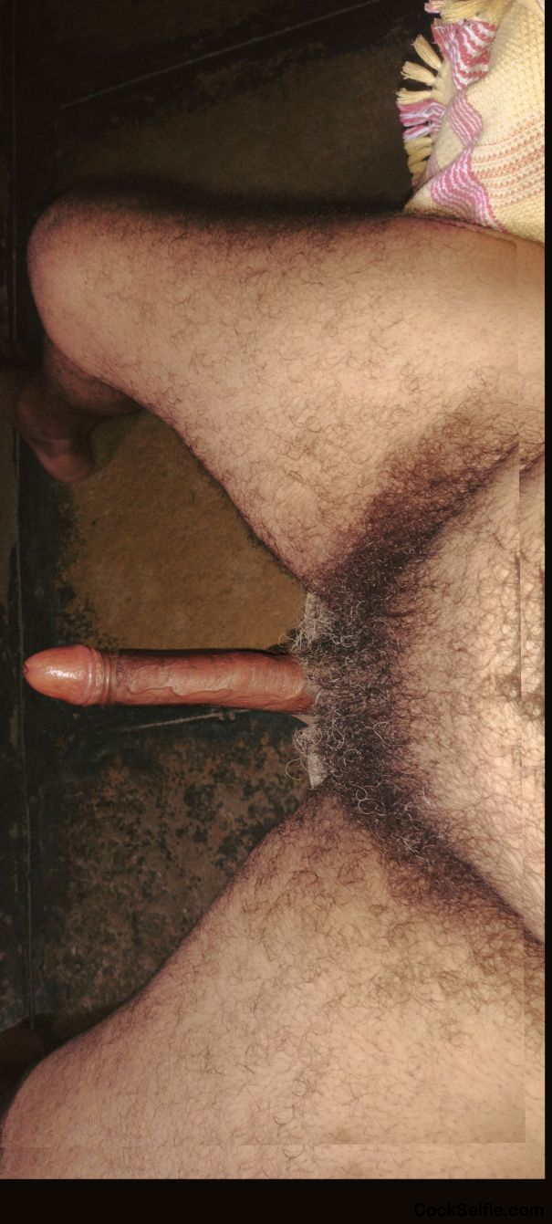 Who's lucky users Here this my hairy lolipop comment me - Cock Selfie