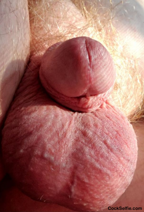 Very full balls with THICK SPERMS - Cock Selfie