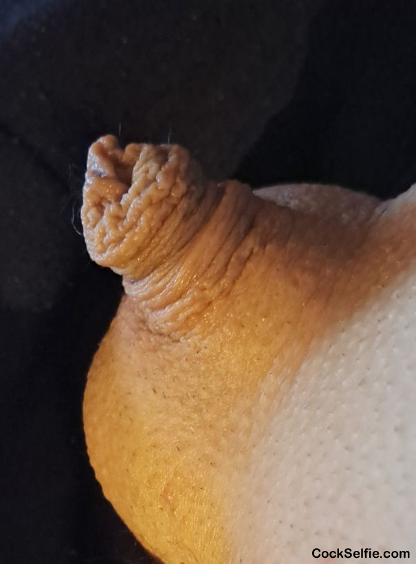 Uncut micropenis - Cock Selfie