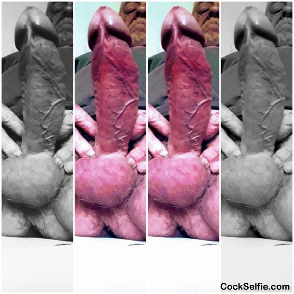 Cock - Cock Selfie