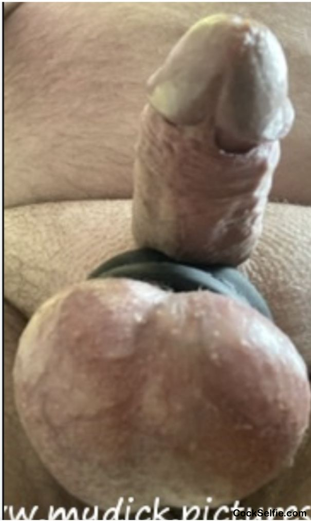 O balls cock - Cock Selfie