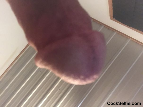 Needs a mouth on it - Cock Selfie