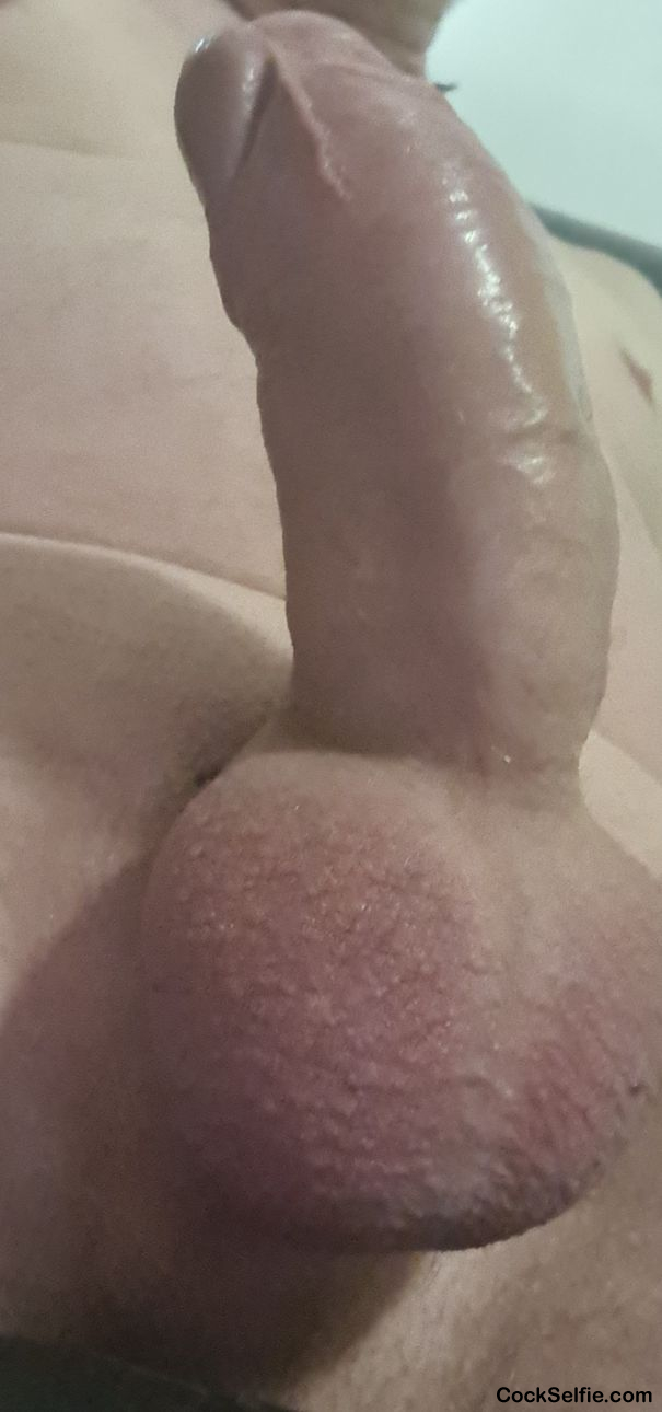  - Cock Selfie