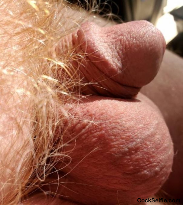 Lots of thick sperm in my balls - Cock Selfie