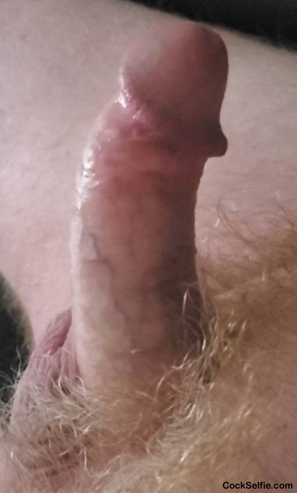 Pix have me fat and very erect! Keep it up! - Cock Selfie