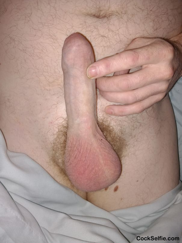  - Cock Selfie