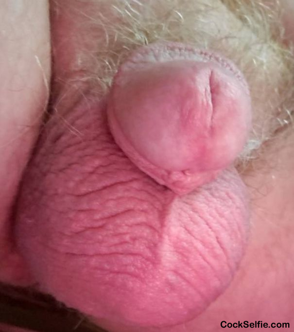 BALLS SO FULL!! - Cock Selfie