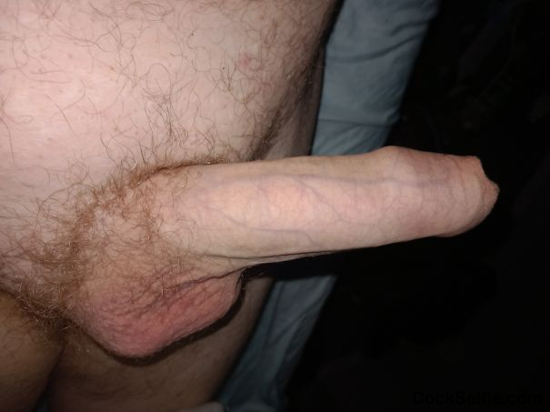  - Cock Selfie